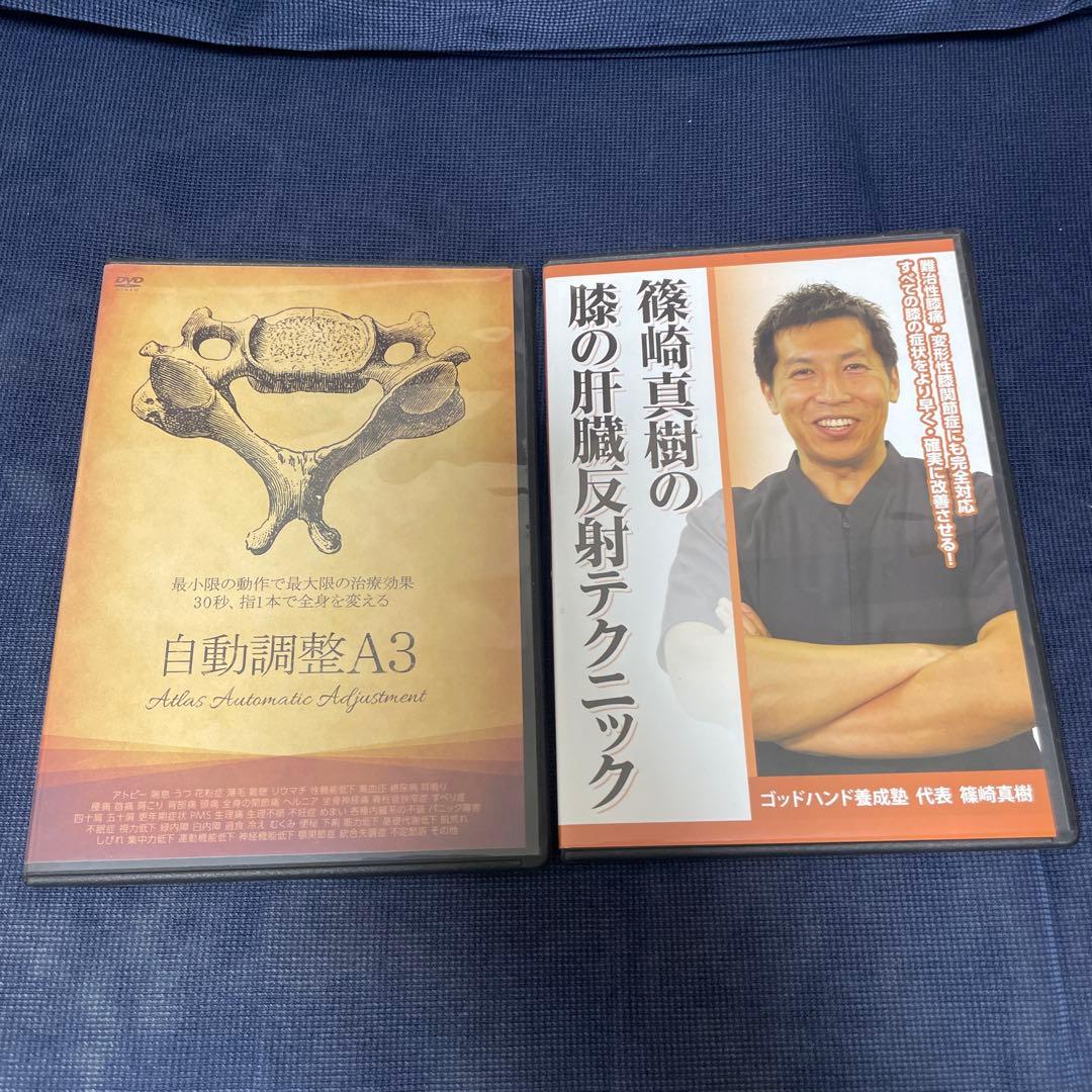 硬膜整体D2 仙骨調整テクニック DVD 仙骨内蔵テクニック 特典ディスク