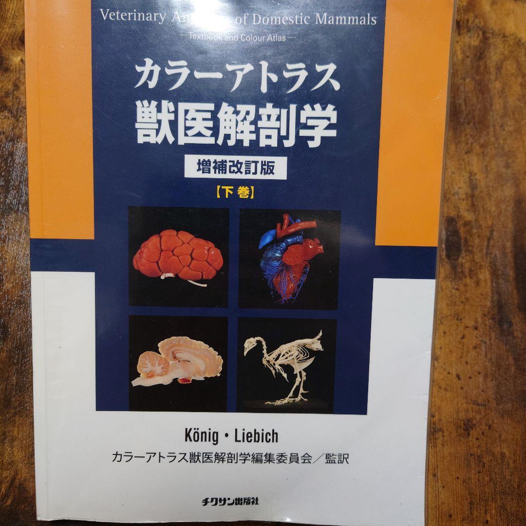 カラーアトラス獣医解剖学 上、下巻
