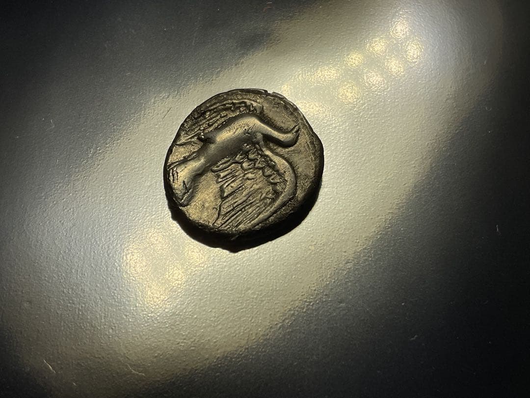 古代ギリシャ 鳥とキメラの図案
