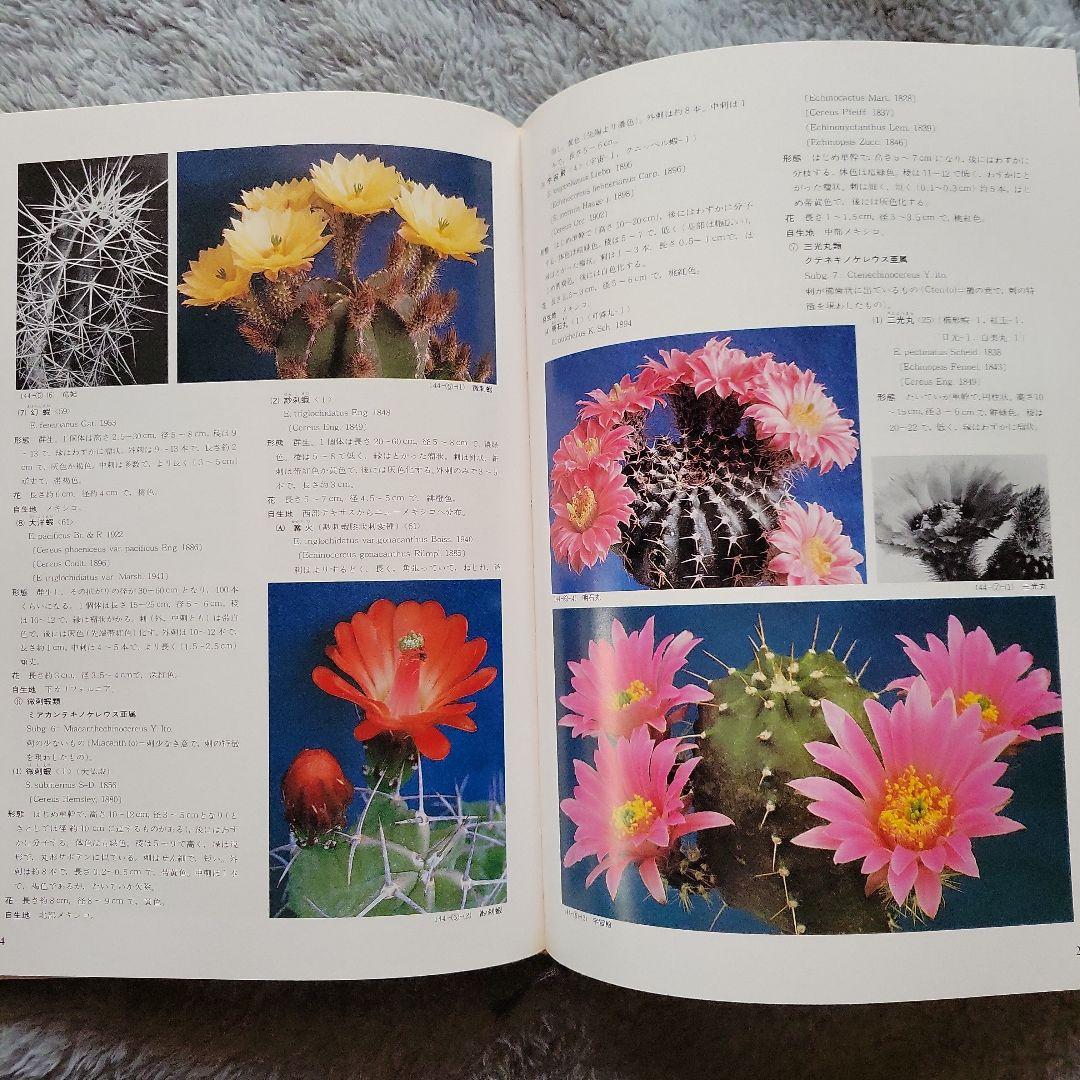 【貴重品！】サボテン科大図鑑　箱あり　絶版書　古書