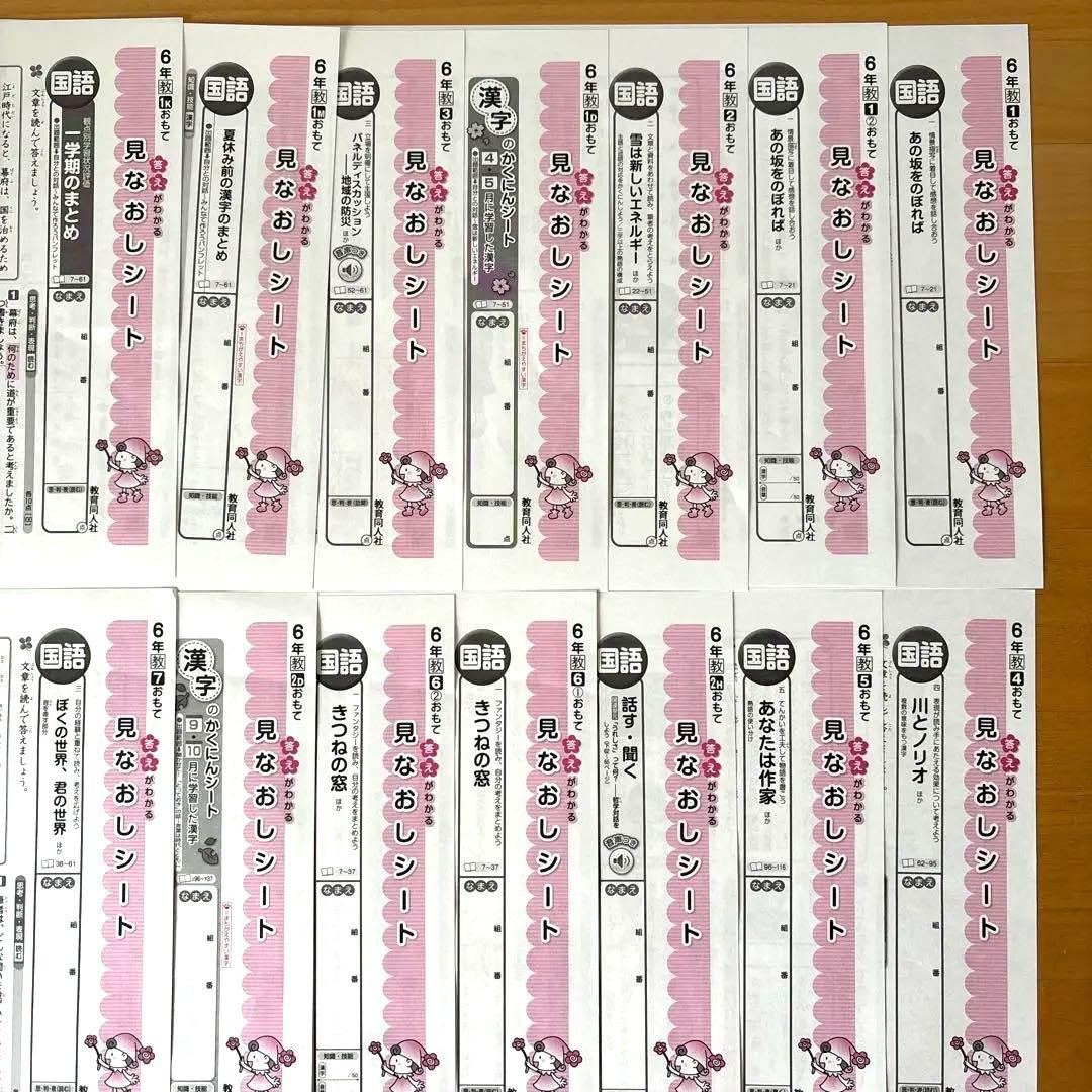 ④小学6年生 国語テストの見なおしシート 21枚