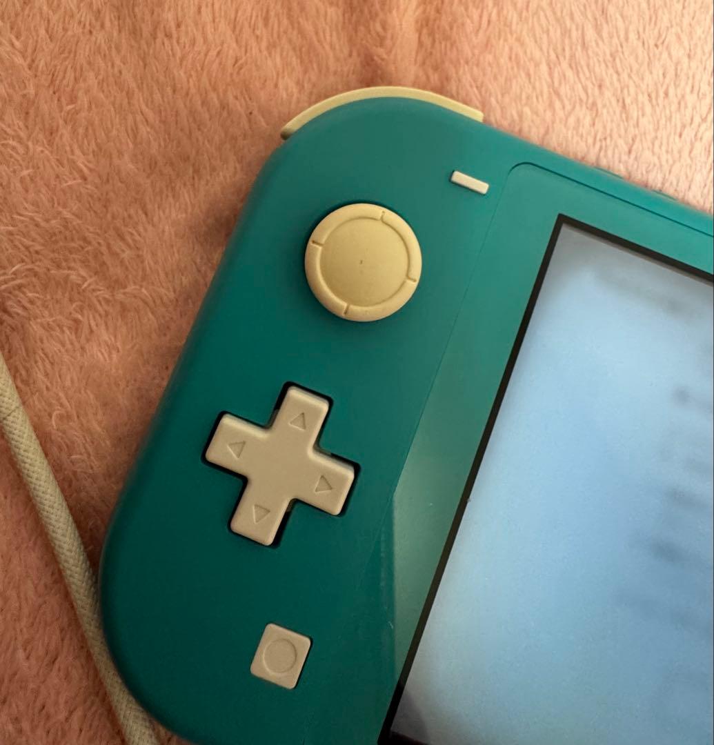 Nintendo Switch Lite ジャンク品 本体のみ
