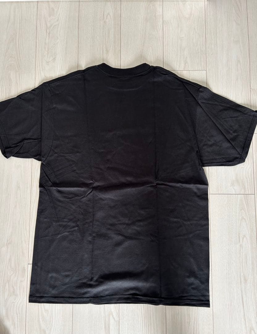 【ロー】STUSSY 黒T L