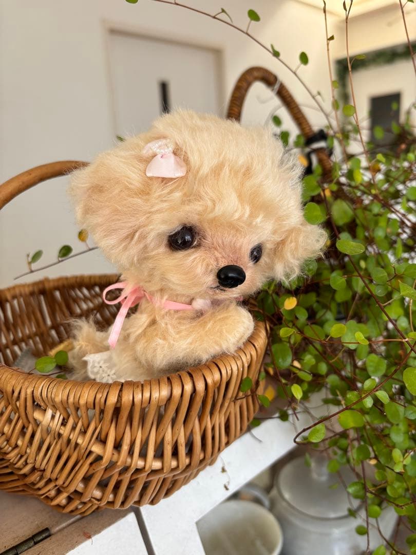 テディプードル　テディわんこ　トイプードル マルプー　ぬいぐるみ