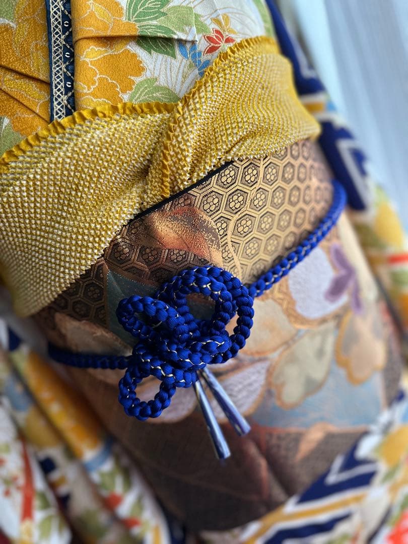 振袖フルセット 総柄 紺色ネイビー×マルチカラー×金彩金駒刺繍 古典柄