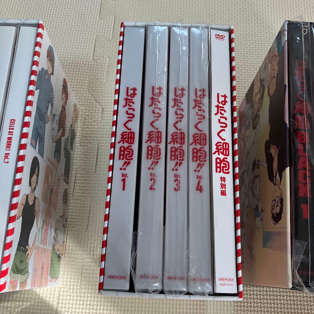 はたらく細胞　Box バラ売り対応します