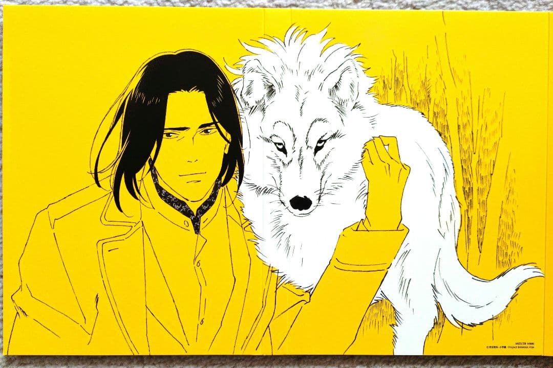 BANANA FISH バナナフィッシュ DVD 完全生産限定版 全４巻セット