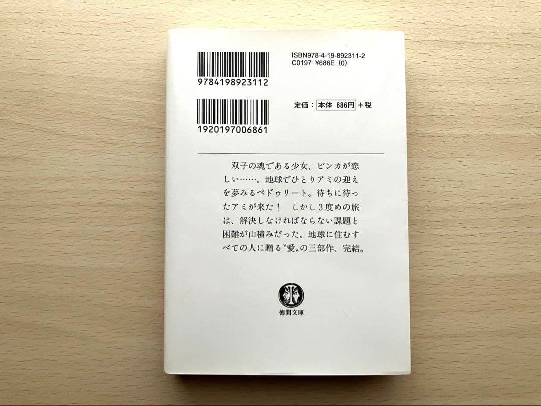 アミ3度めの約束　愛はすべてをこえて
