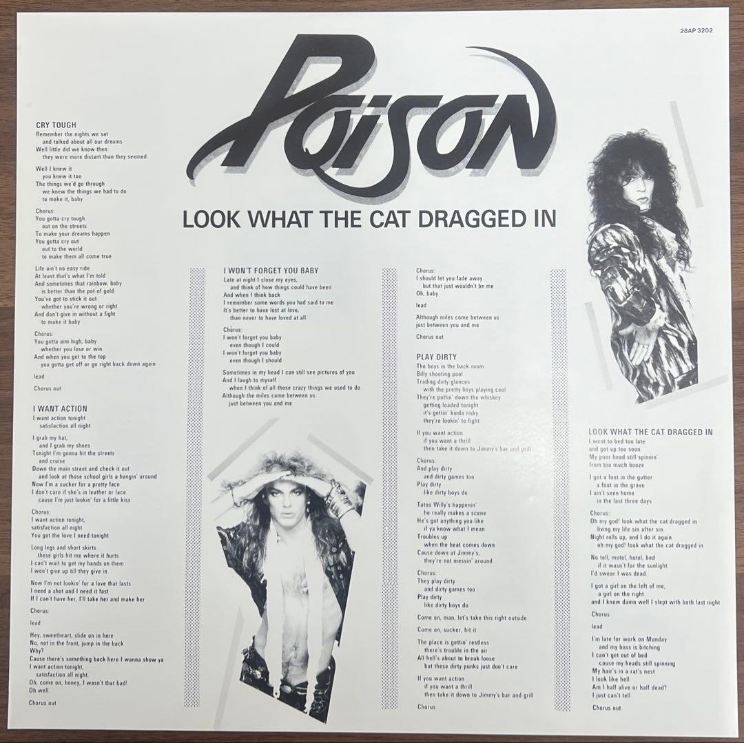 洋楽 Poison Look What The Cat Dragged In