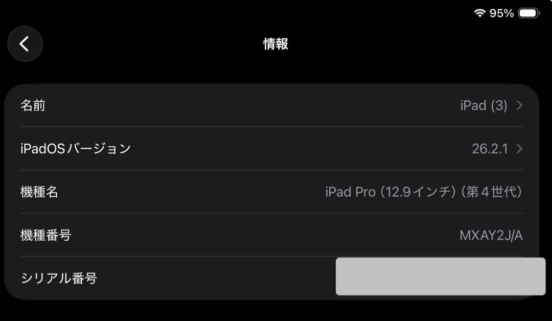 【専用】【1TB】iPad Pro12.9 第4世代 Wi-Fiモデル　シルバー