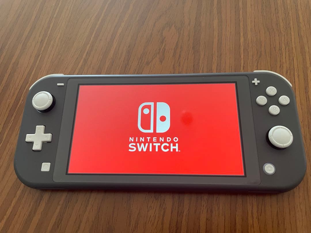 Nintendo Switch Lite グレー【箱・充電器・シリコンケース付】