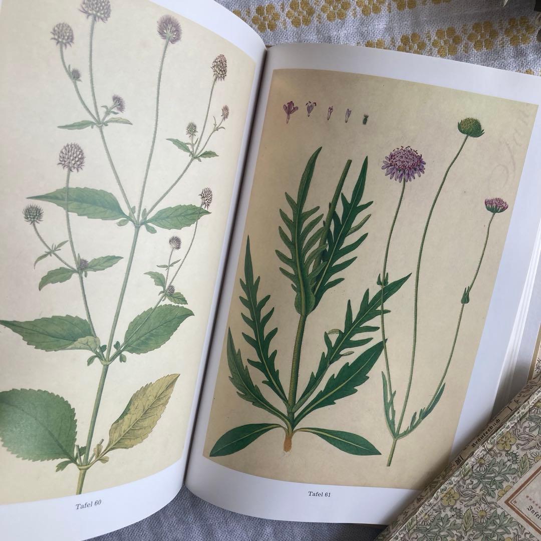 L958洋書古書　古い植物解剖図多数掲載1980年代発行ドイツの分厚い植物図鑑