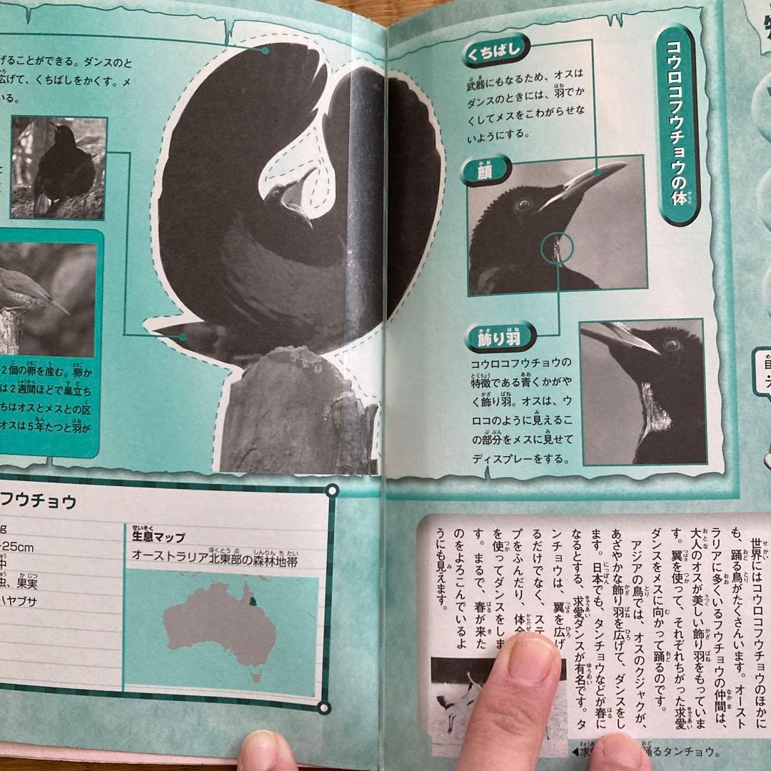 NHKダーウィンが来た! : 生きもの新伝説 1 〜7巻➕シリーズ関連本4冊