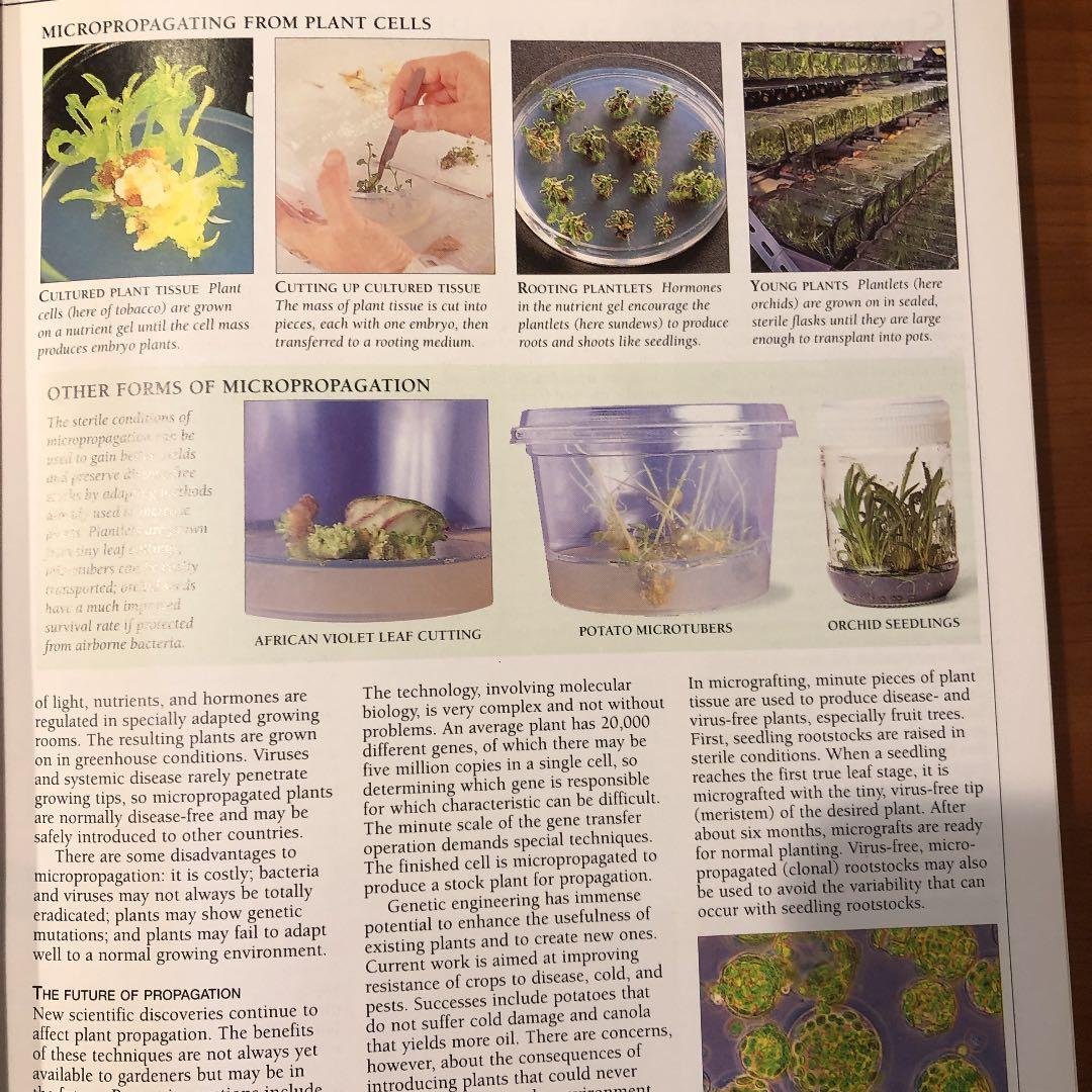洋書 PLANT PROPAGATION AMERICAN HORTICULTURAL
