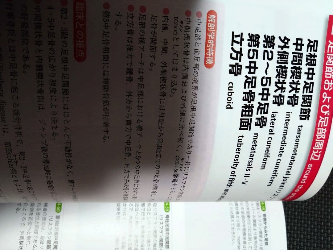 運動療法のための触診技術　上肢下肢　まとめ売り　セット　バラ売り可　理学療法士