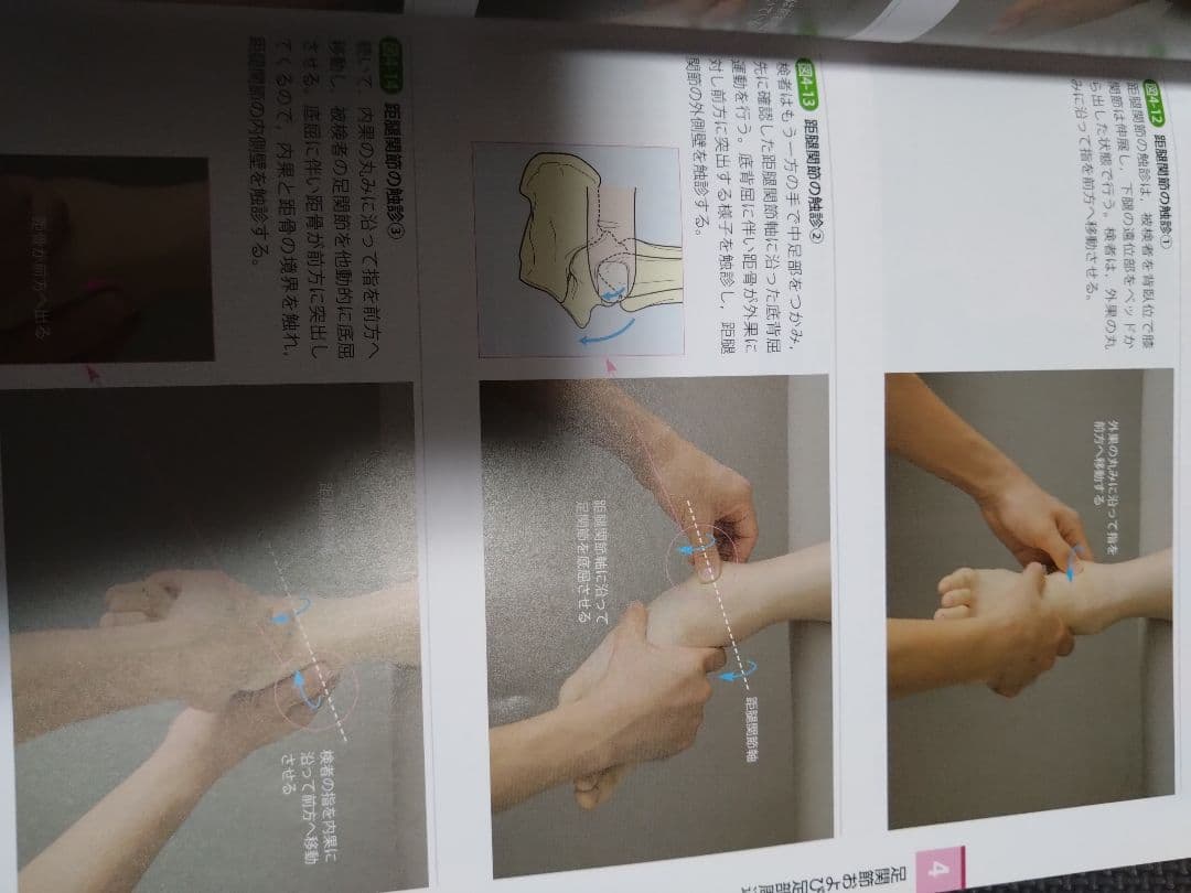 運動療法のための触診技術　上肢下肢　まとめ売り　セット　バラ売り可　理学療法士