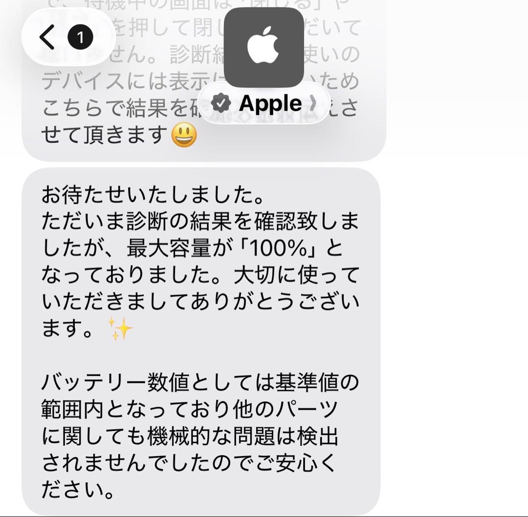 iPad 第10世代 256GB イエロー バッテリー100%