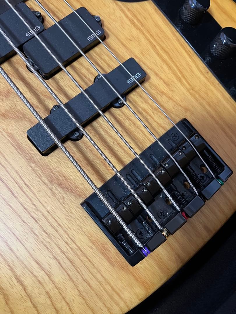 Schecter MODEL-T Session5 5弦ベース