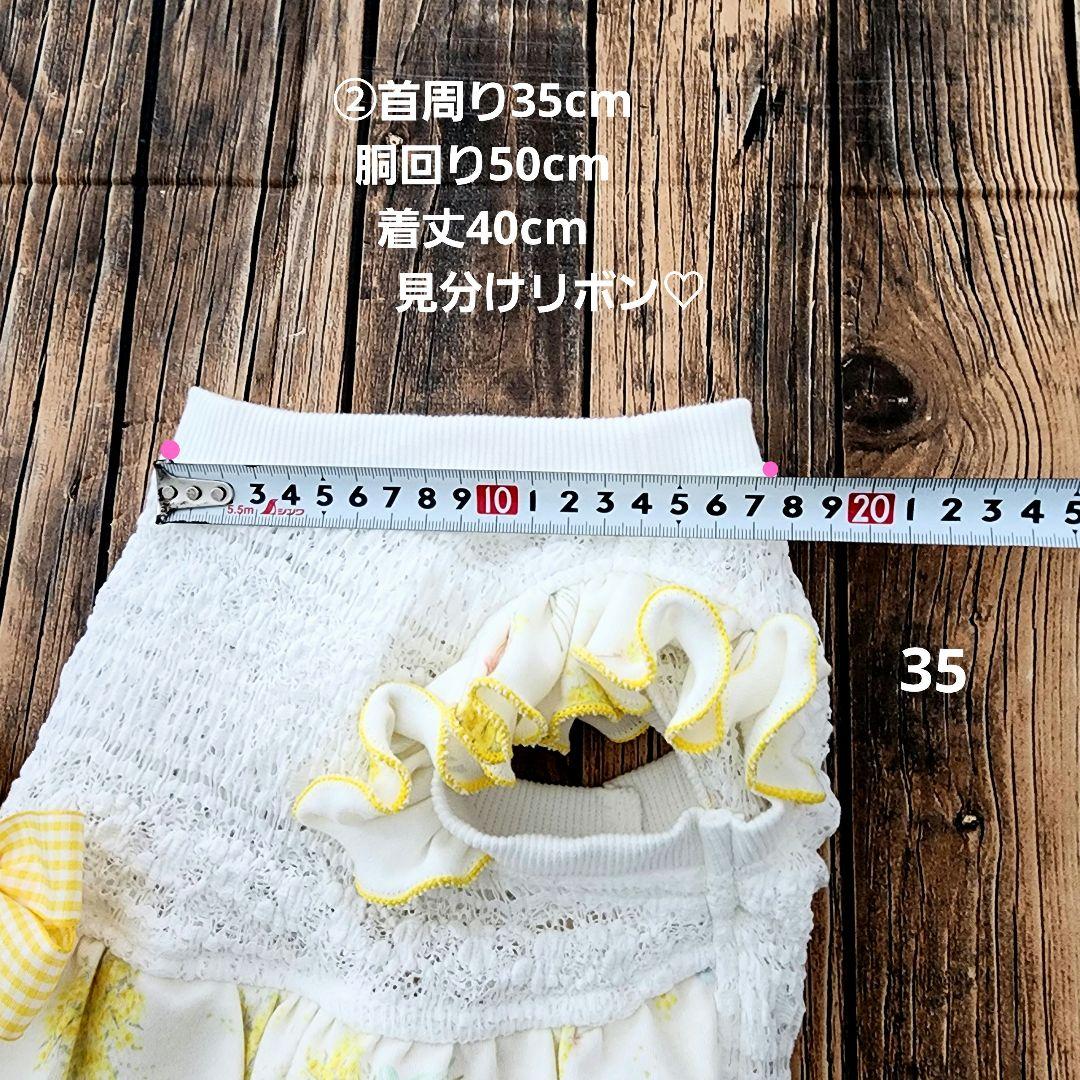 ともとも☆様❤ミモザ♡4段ティアードワンピース♡ハンドメイド犬服♡