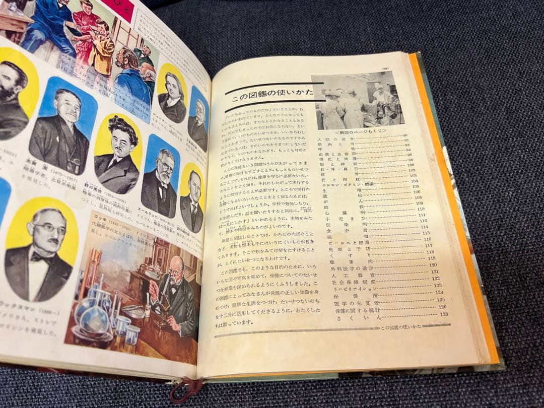 学習図鑑シリーズ5冊 昆虫 動物 鳥類 魚貝 保健と人体 1960年　本　絵本