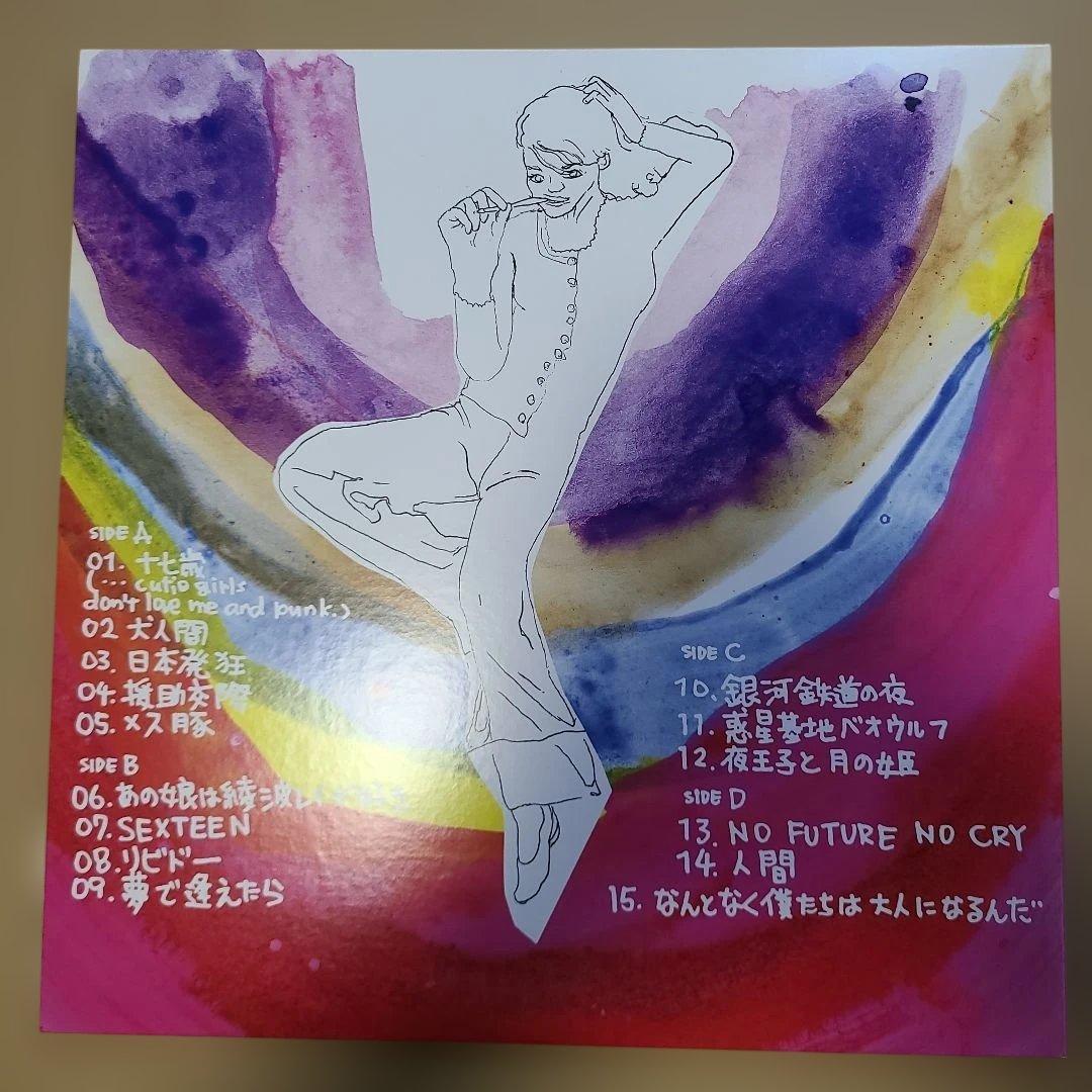 銀杏BOYZ DOOR レコード