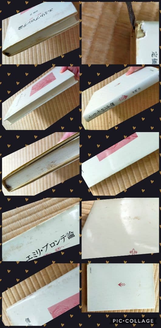 ★　希少価値・絶版本　文学的観点から読み解くエミリ・ブロンテと嵐が丘