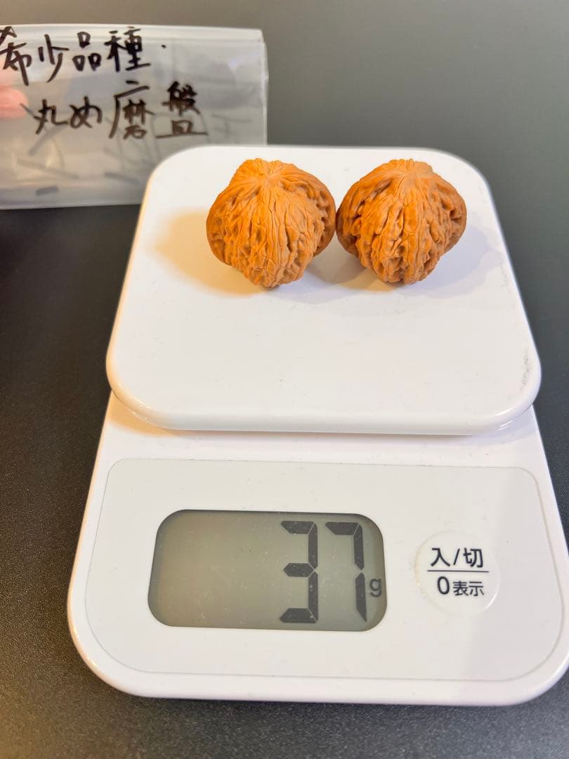 遊び胡桃 希少品種丸め磨盤No.33クルミ 趣味 健康グッズ コレクション