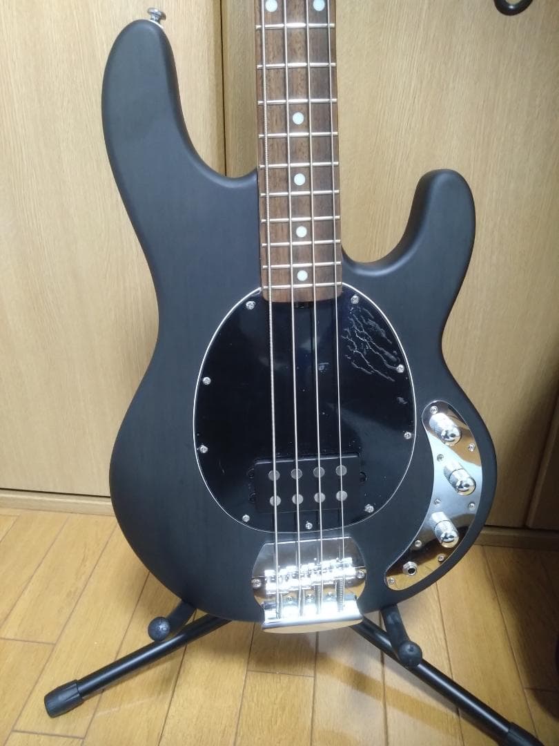 ミュージックマン Sterling by MUSIC MAN Ray4 保証書付