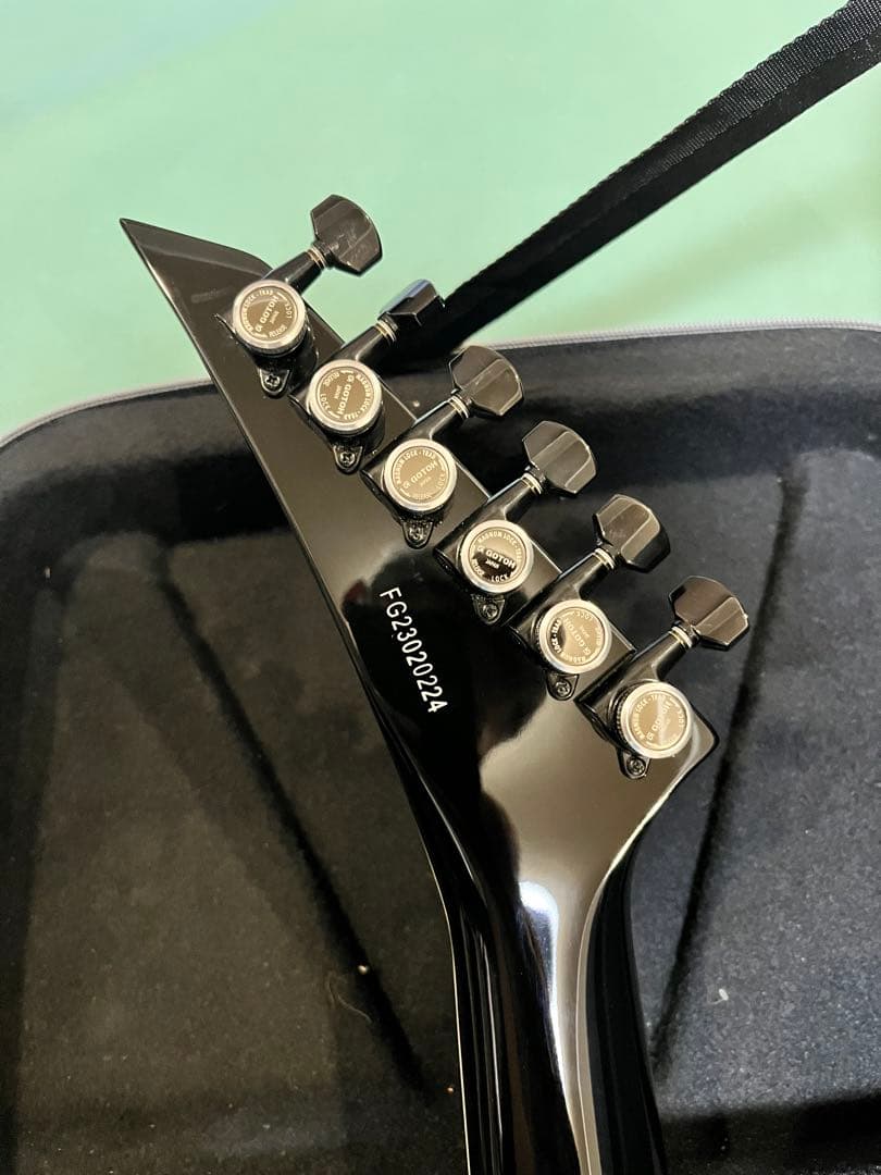 布袋　FERNANDES STEJ-DLX 2S EMGピックアップ搭載