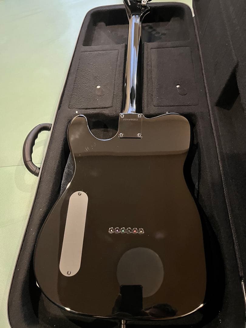 布袋　FERNANDES STEJ-DLX 2S EMGピックアップ搭載