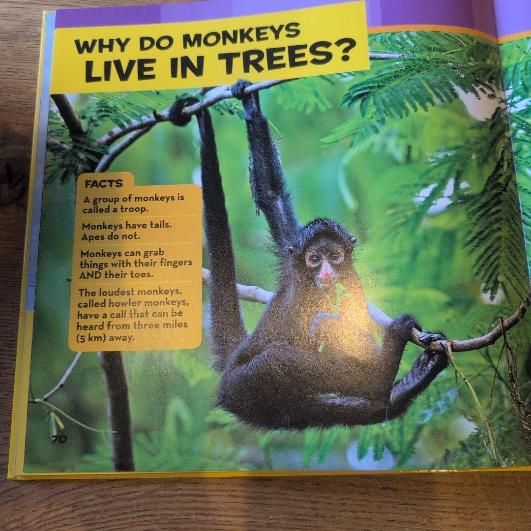 national geographic kidsセット 6冊