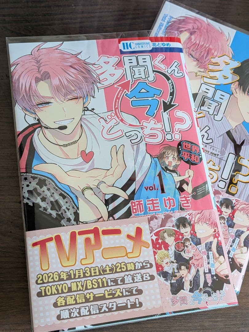 多聞くん今どっち１-12巻 師走ゆき 美品　透明カバー付き