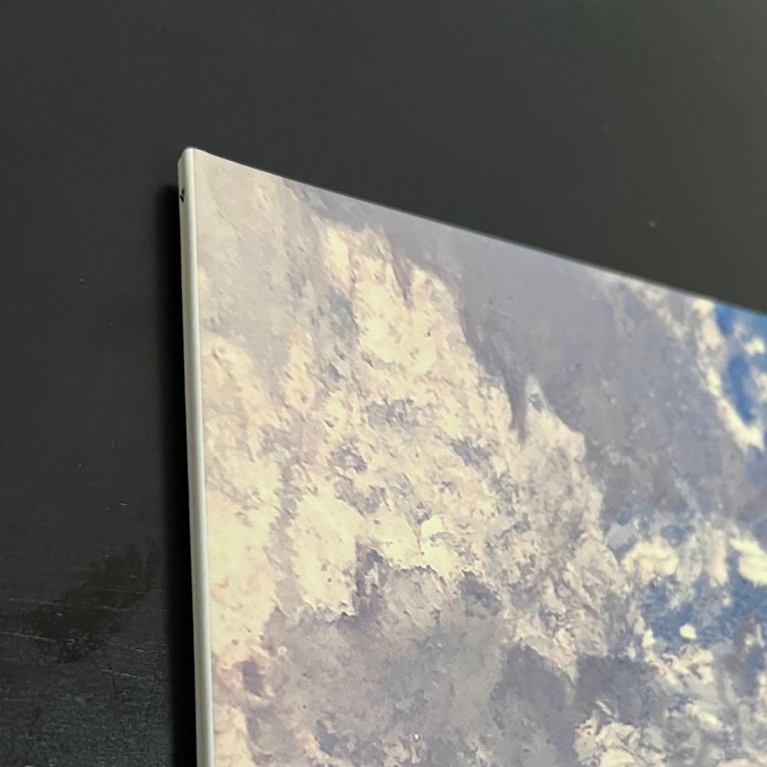 【美品】くるり　天才の愛　レコード　LP アナログ