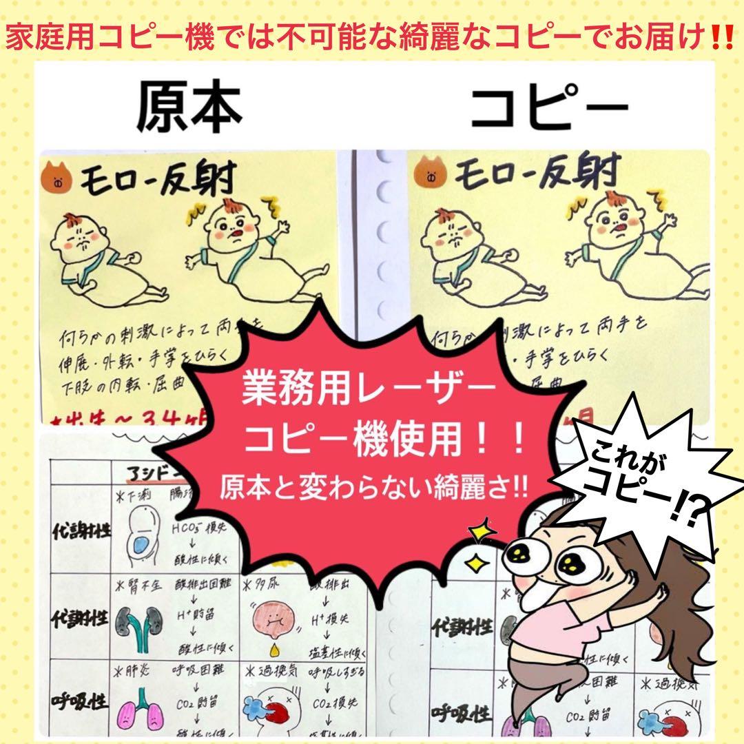 激安‼️ 看護師国家試験まとめノート 国試 解剖生理学 看護学生 付箋ノート