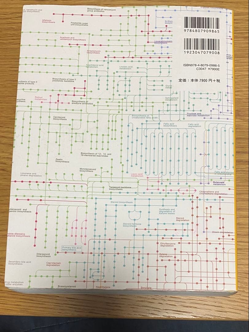 ミースフェルド 生化学