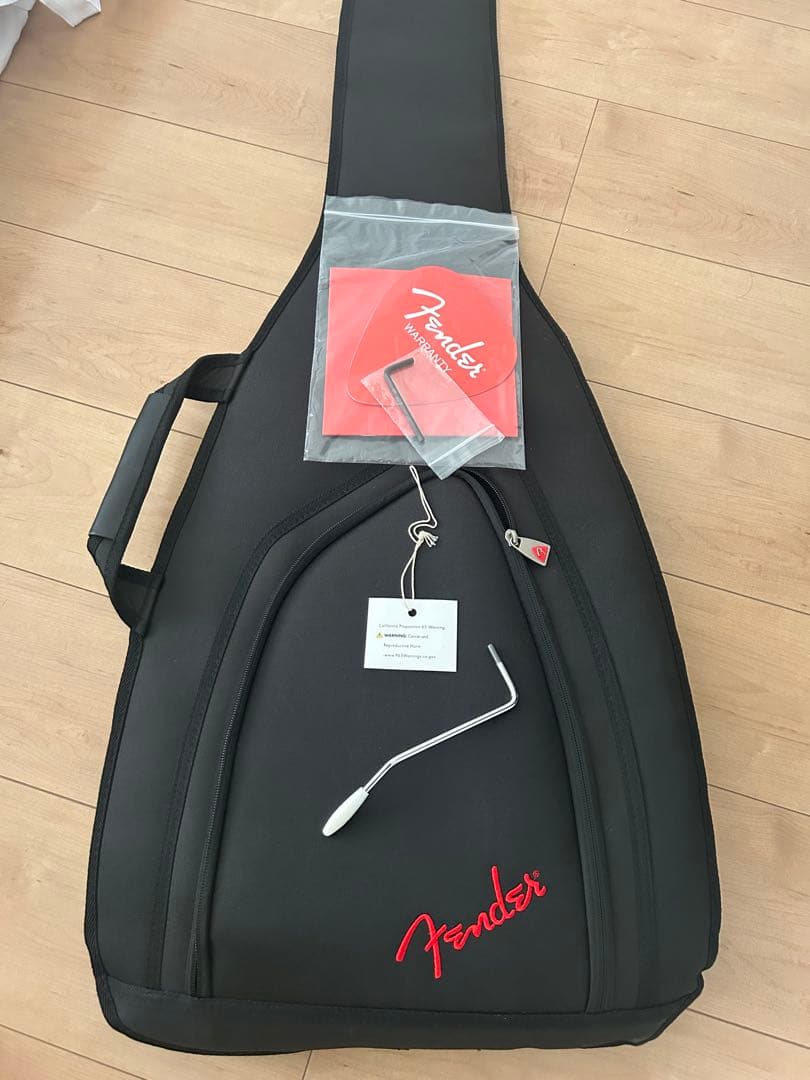 Fender Daiki Tsuneta Swinger 常田大希シグネイチャー