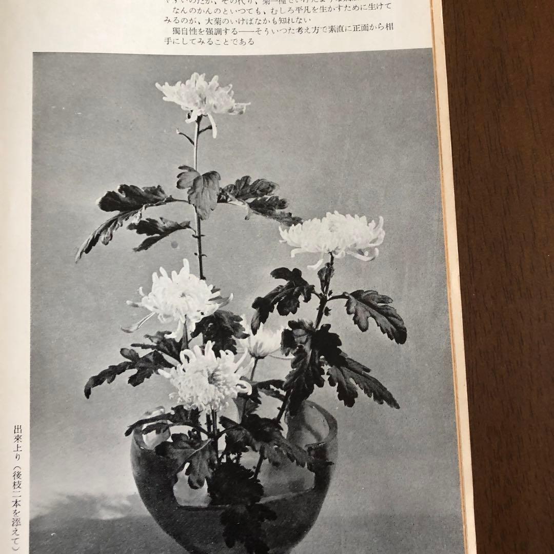 草月　SoGE T SU １１月1953