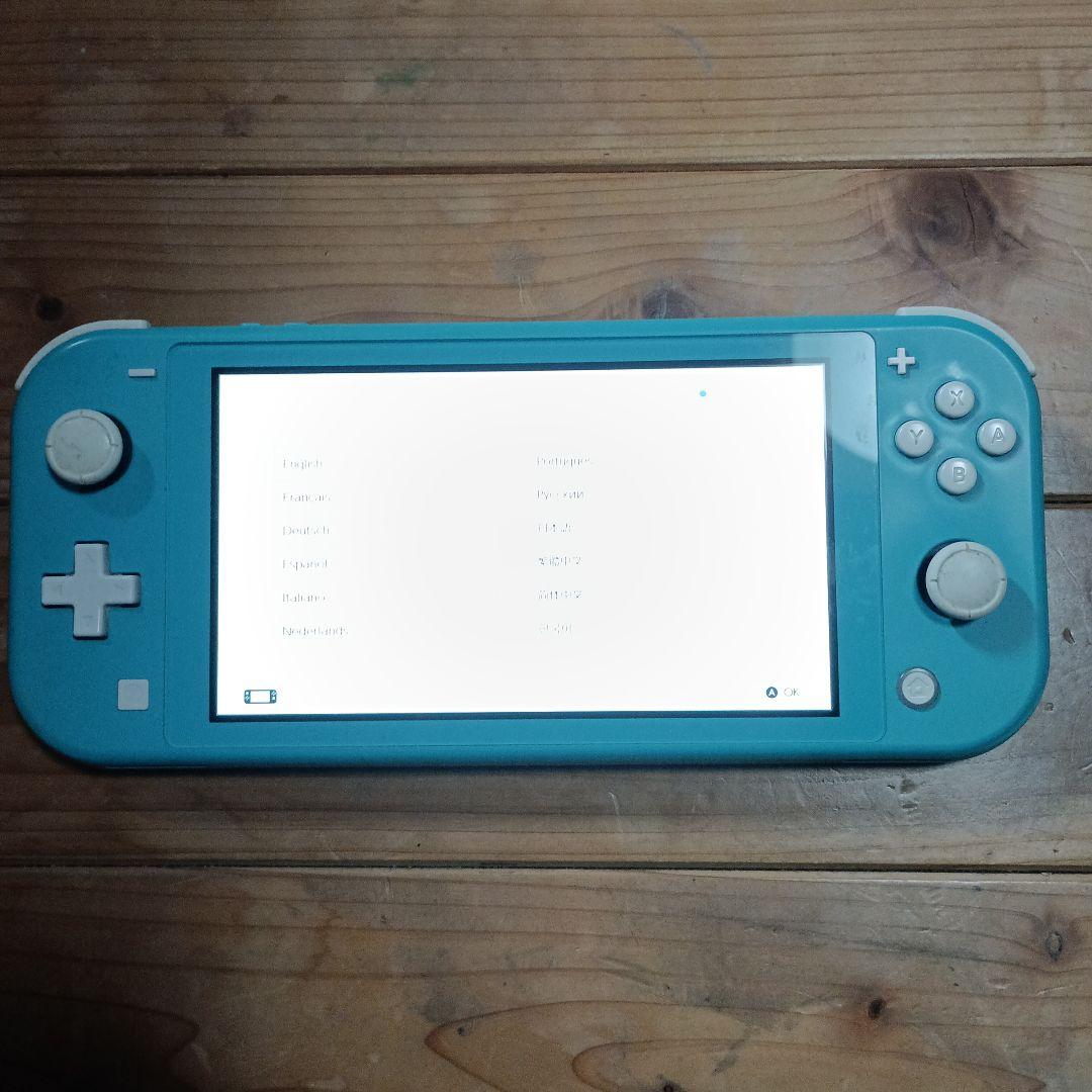 ジャンク品　Nintendo Switch Lite 本体