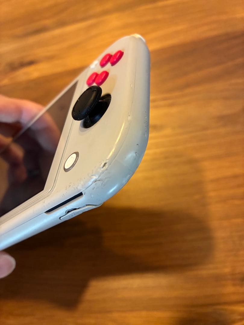 Nintendo Switch Lite グレー ポケモン 本体のみ