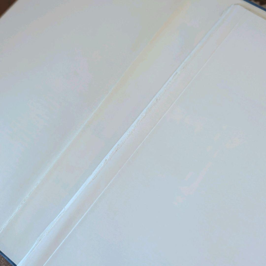 yaminC221 お洒落な組み合わせ ヴィンテージ 洋書 ディスプレイ