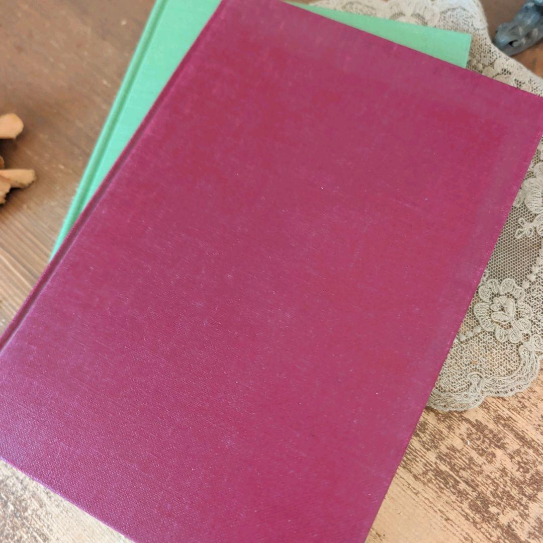 yaminC221 お洒落な組み合わせ ヴィンテージ 洋書 ディスプレイ