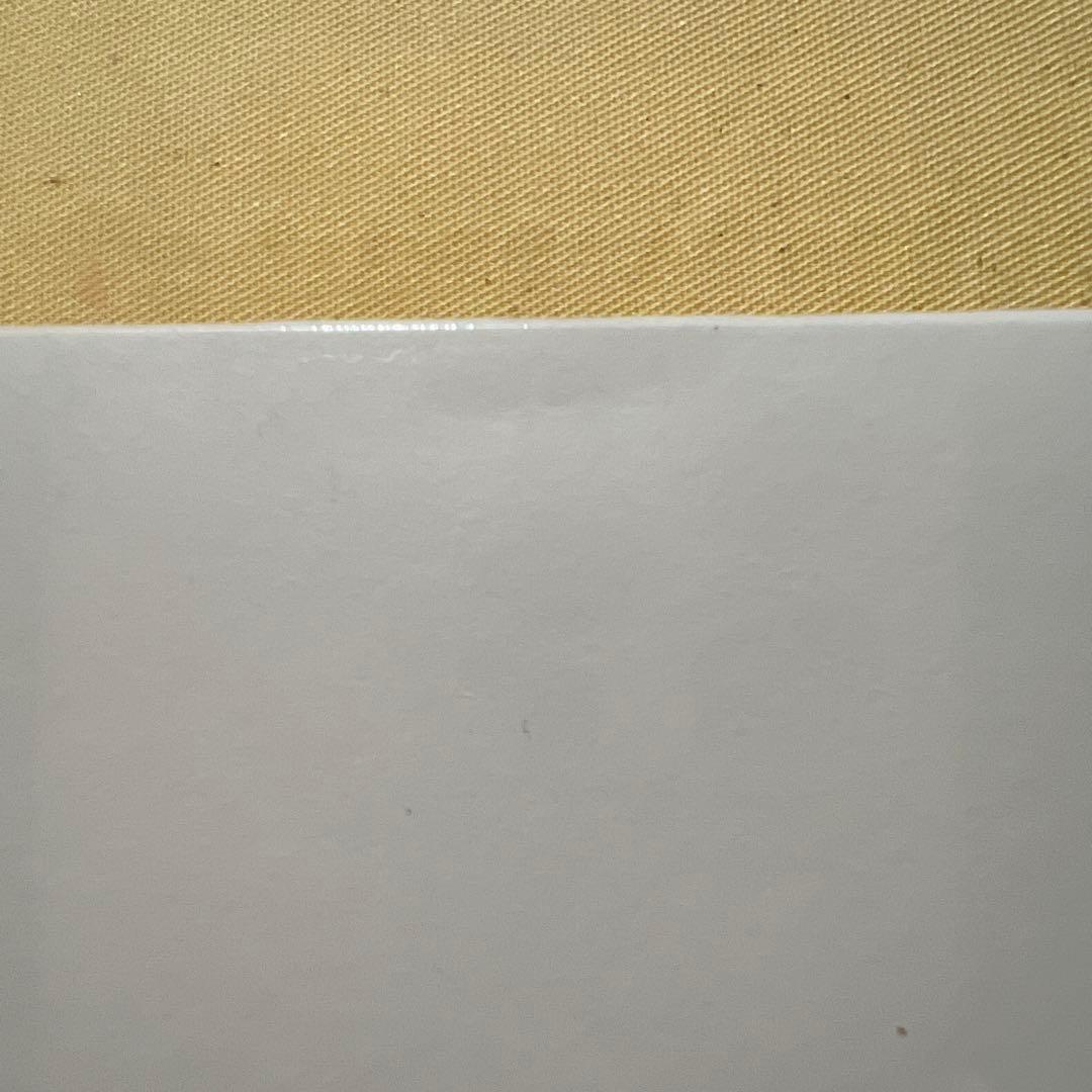 新品未開封 SHINee オニュ ONEW VOICE 白ver.