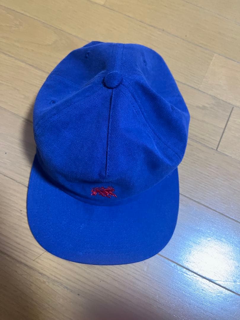 ぬ*い様 希少 stussy ラスタライオン キャップ