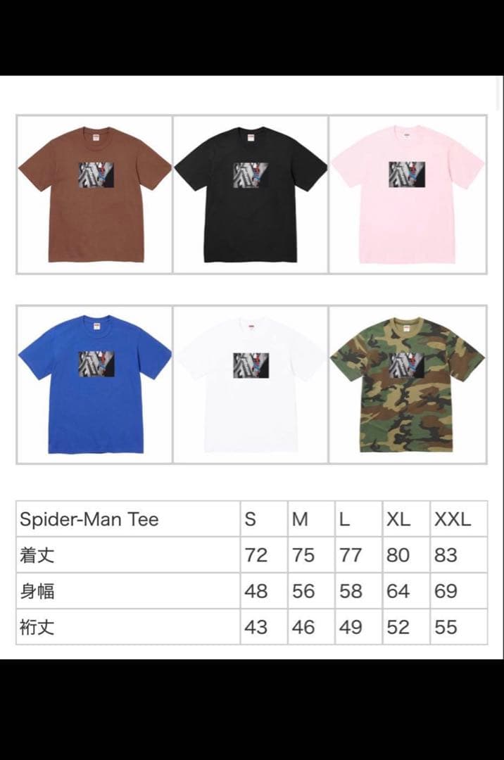 Supreme x Spider-Man Tee \"Brown\" Mサイズ