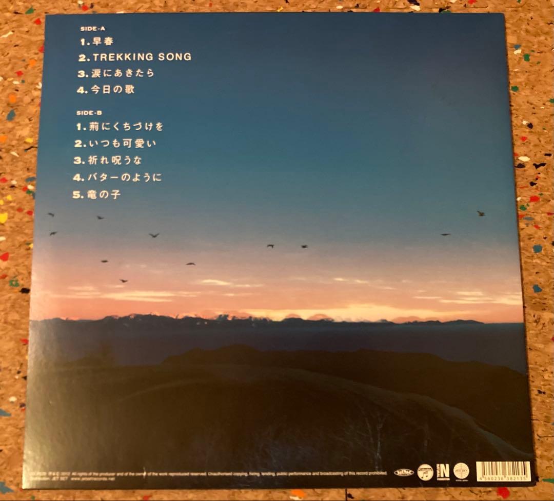 アナログレコード キリンジ kirinji Super view