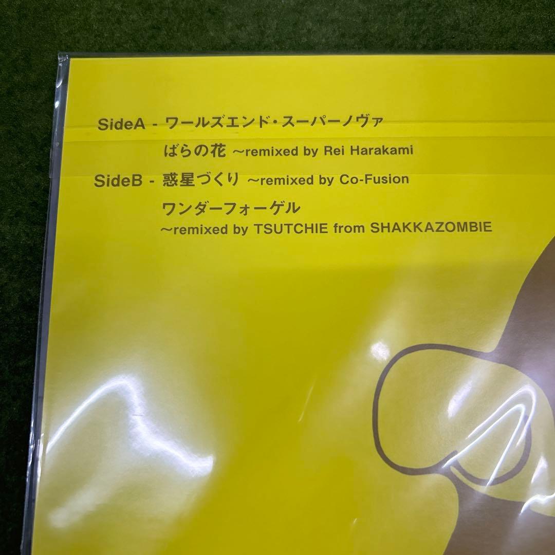 くるり／ワールズエンド・スーパーノヴァ　　 LPレコード