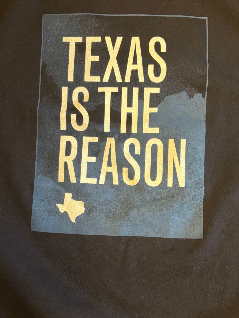 【最終値下】Texas Is The Reason スウェット ネイビー　emo