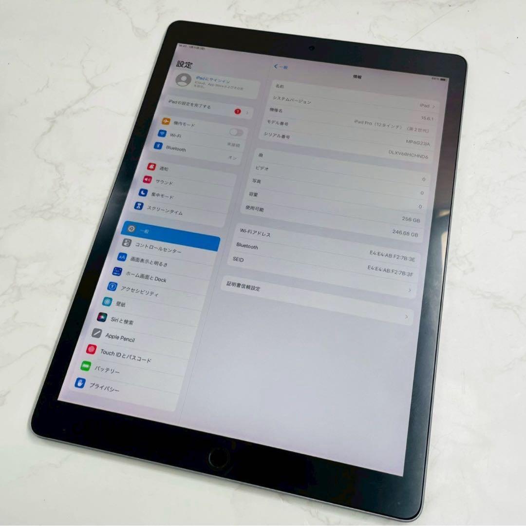iPad Pro 12.9インチ 第2世代 256GB MP6G2J/A