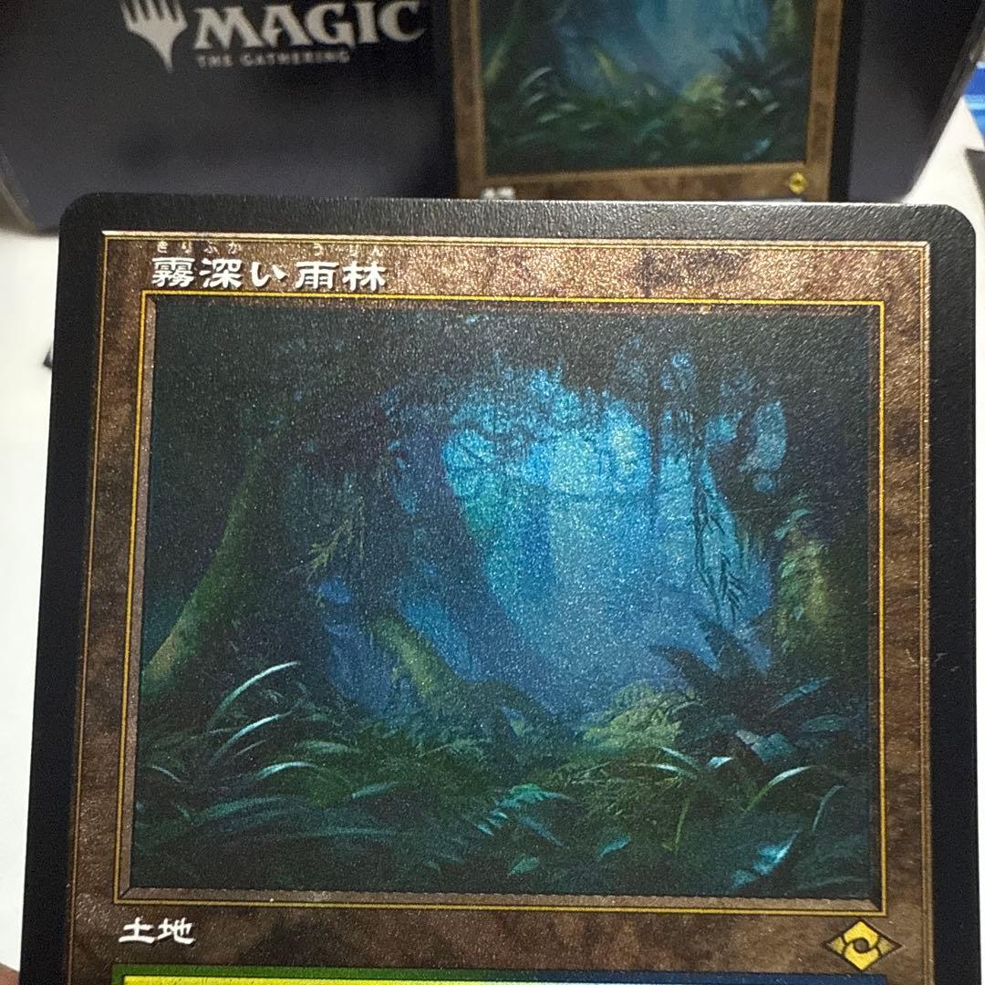 MTG 霧深い雨林 旧枠　エッチングfoil 日2枚