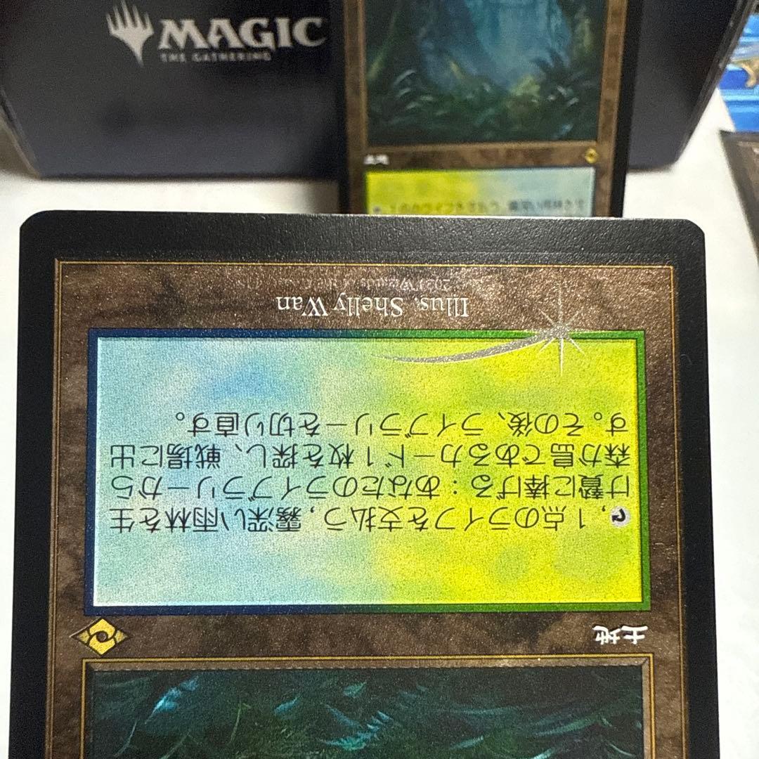 MTG 霧深い雨林 旧枠　エッチングfoil 日2枚